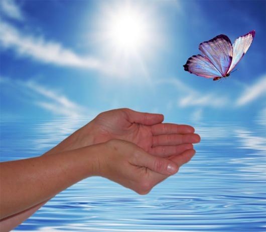 Two cupped hands opening to release a butterfly against a blue sky representing life transitions (new job, move, break up) made easier with the help of a counselor and therapy.